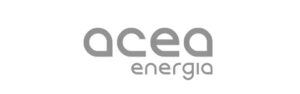 6.-Acea-300x94